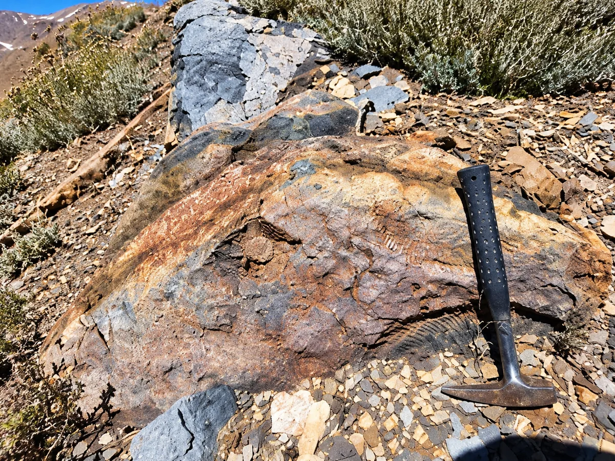 Martillo geológico sobre afloramiento mineralizado
